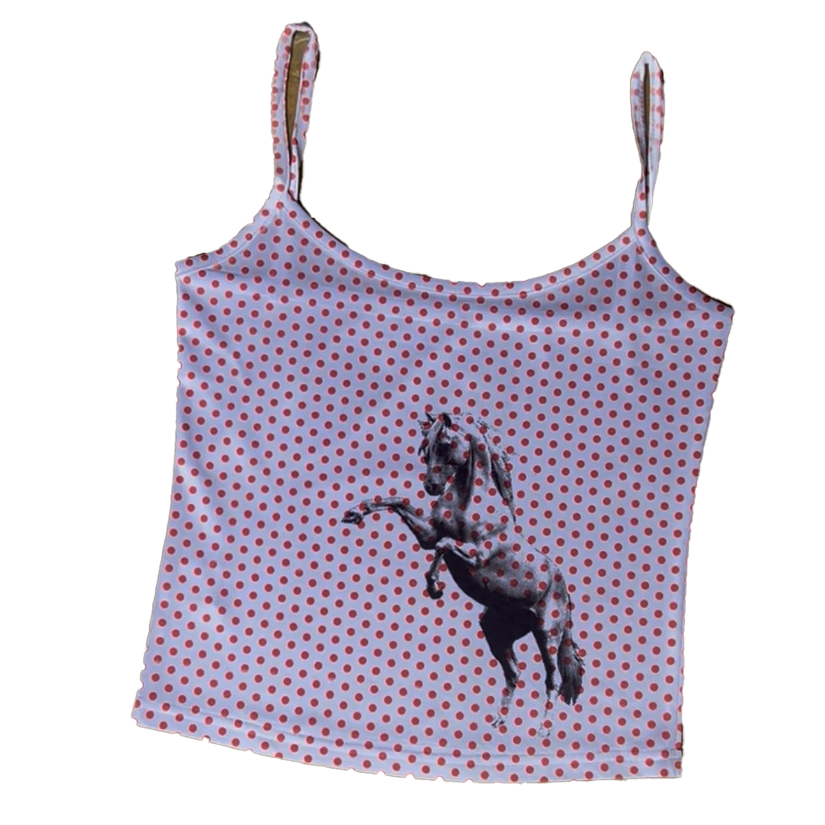 1/1 tank top