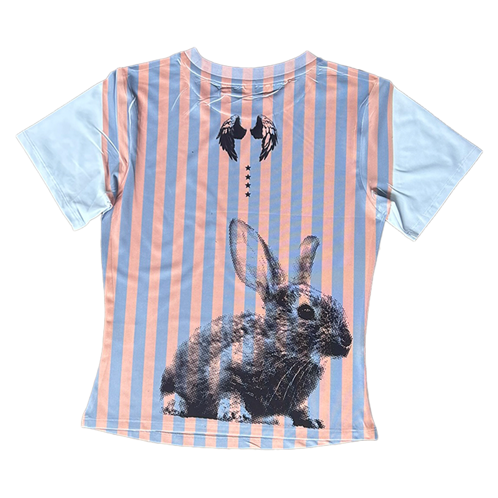 1/1 baby tee