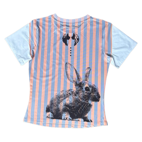 1/1 baby tee
